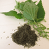 Spotlight on: Nettles