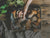 Ground Up Cookery School | Devon