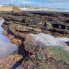 Devon Seashore | Ground Up Cookery School | Devon